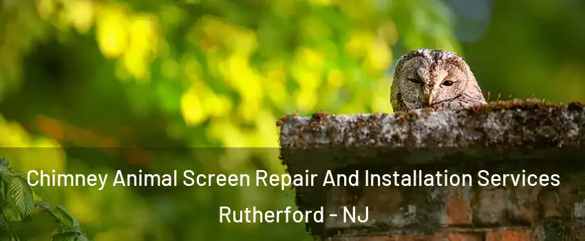  Chimney Animal Screen Repair And Installation Services Rutherford - NJ