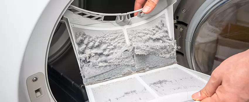 Best Dryer Lint Removal Company in Rutherford, New Jersey