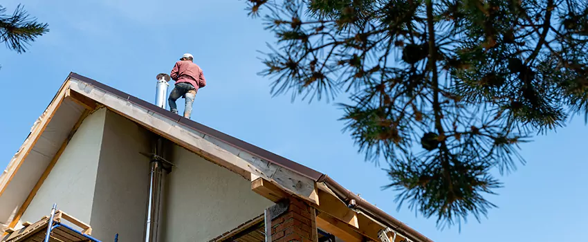 Birds Removal Contractors from Chimney in Rutherford, NJ